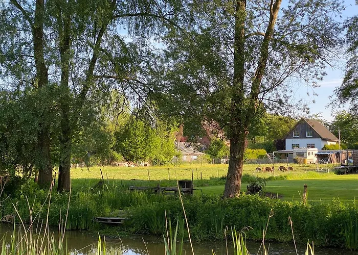 Elbinsel-home 'alpakaliebe' *